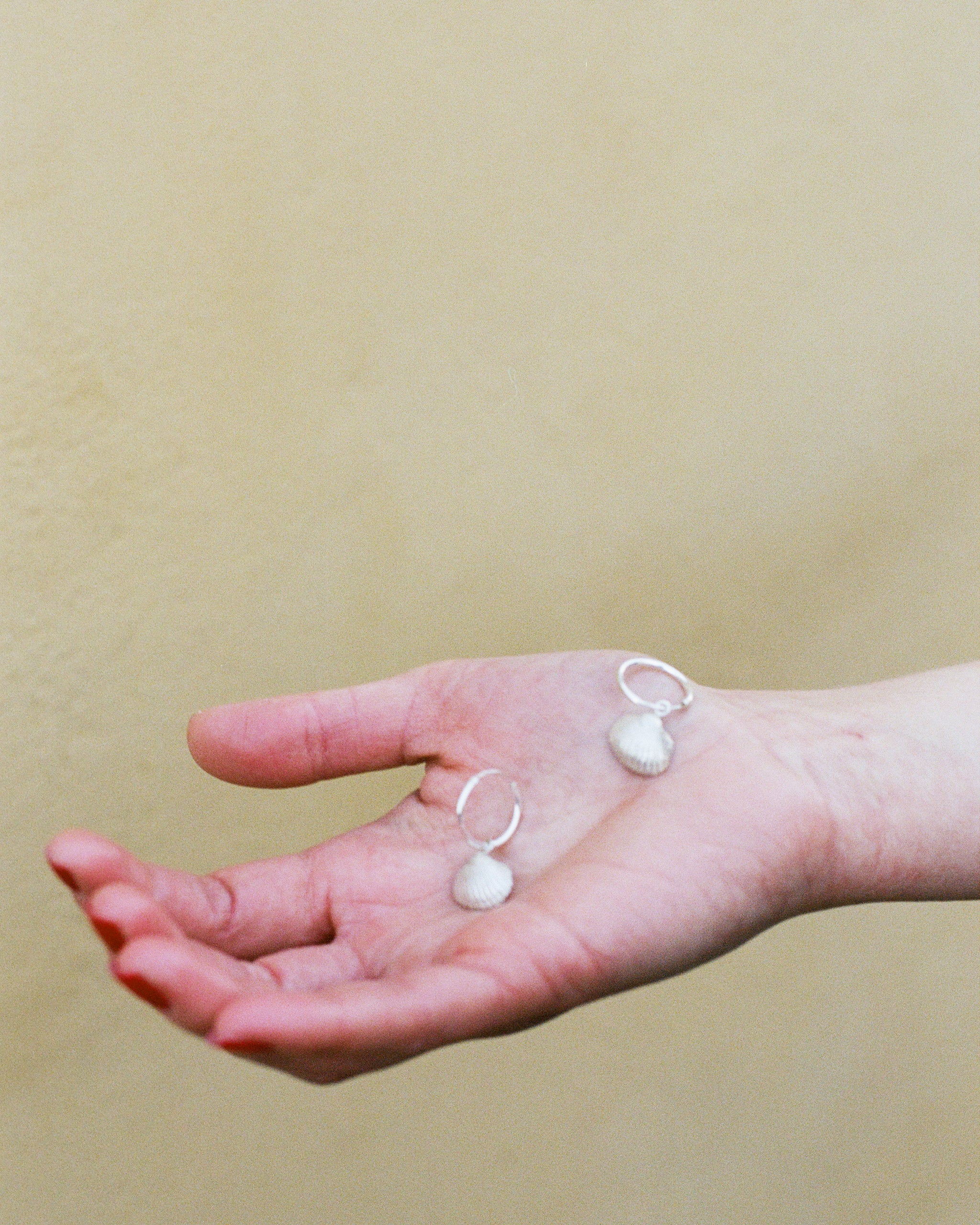 Seashell Hoop Earrings
