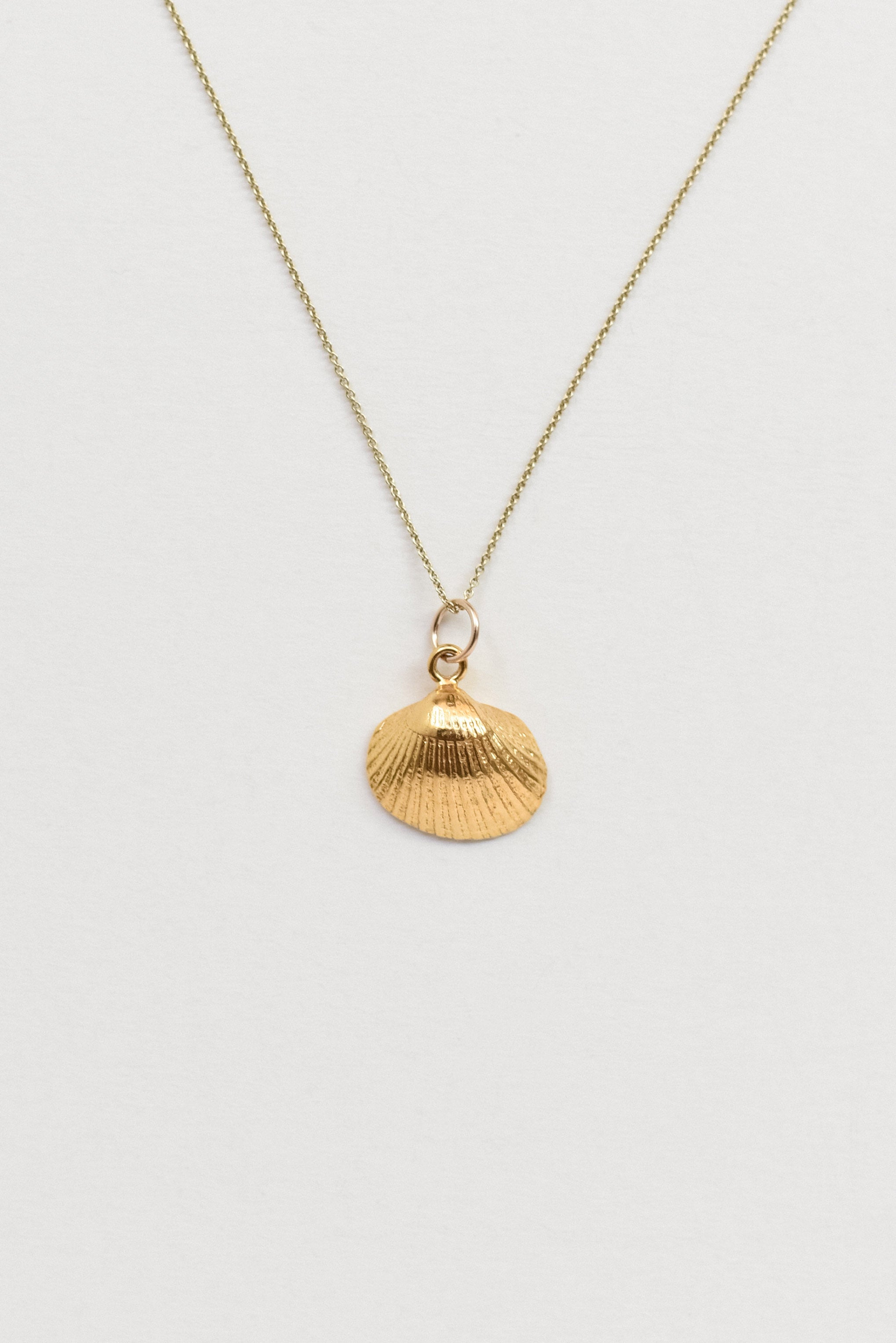 Seashell Necklace