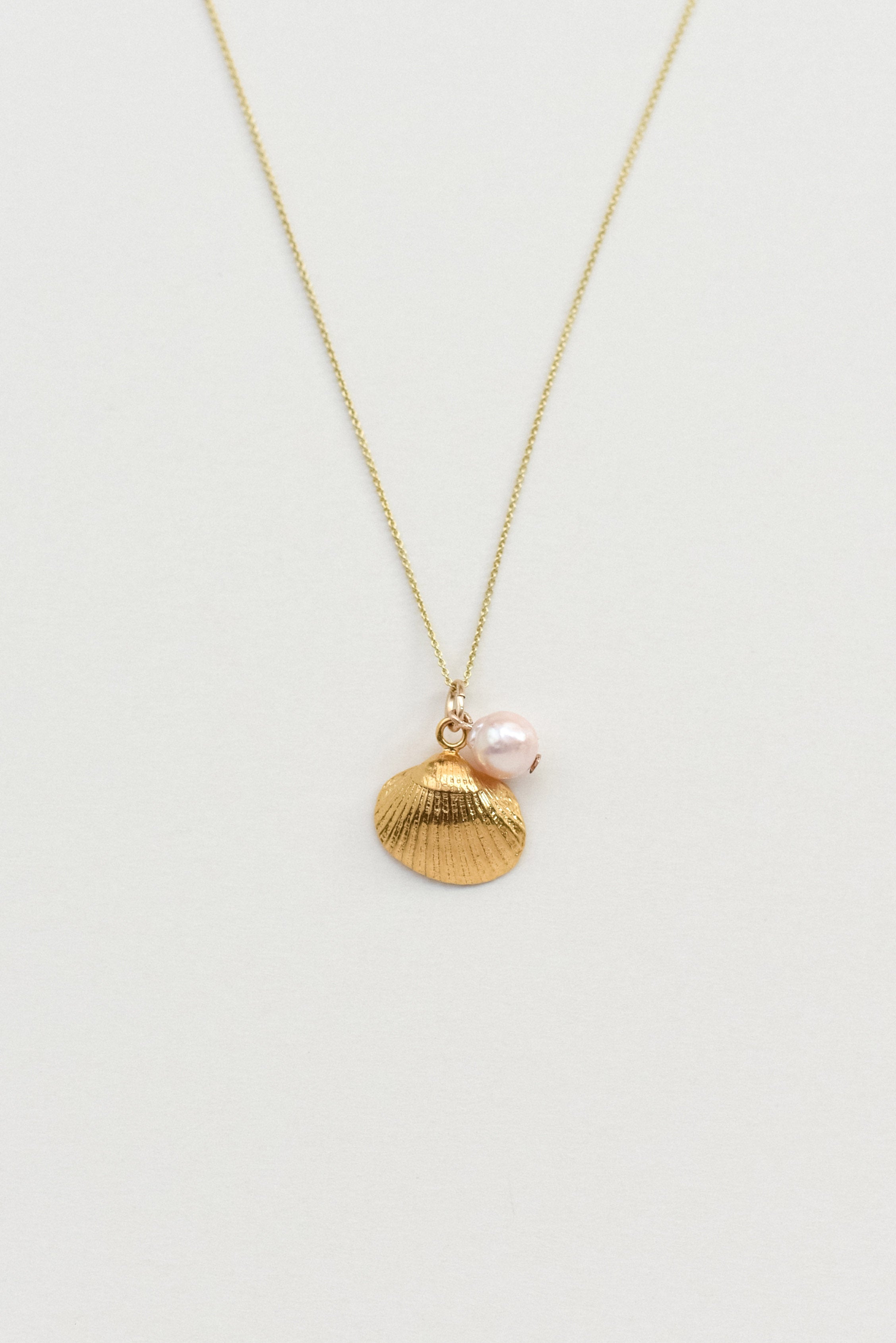 Seashell Necklace