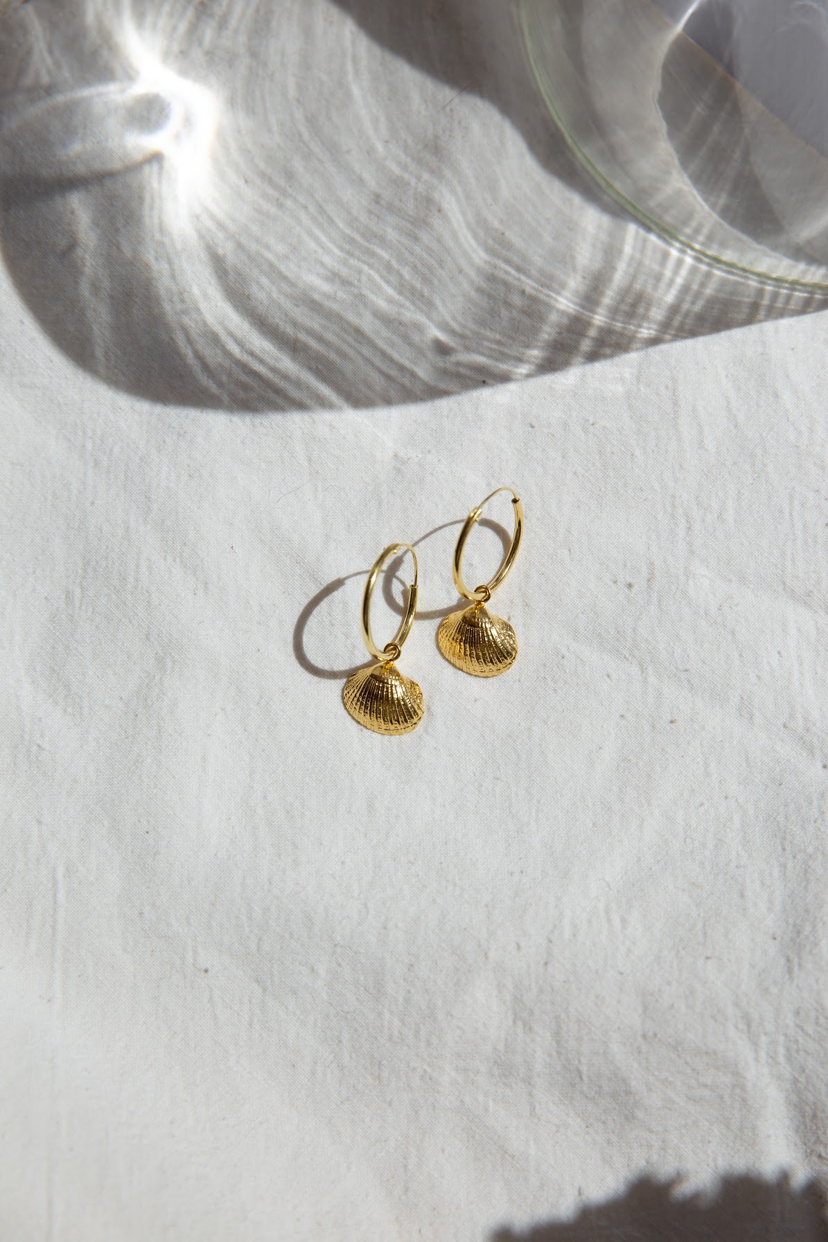 Seashell Hoop Earrings