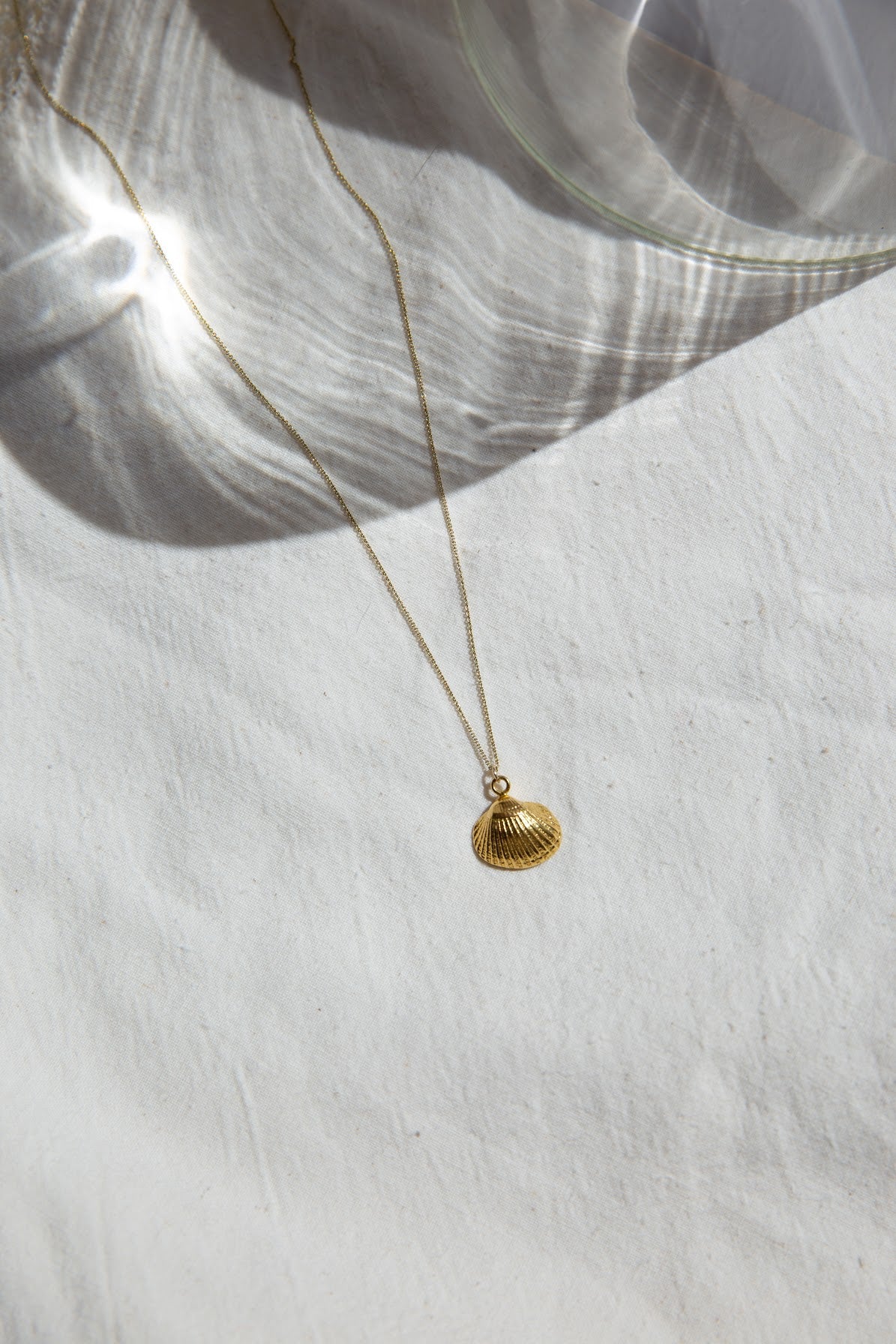 Seashell Necklace
