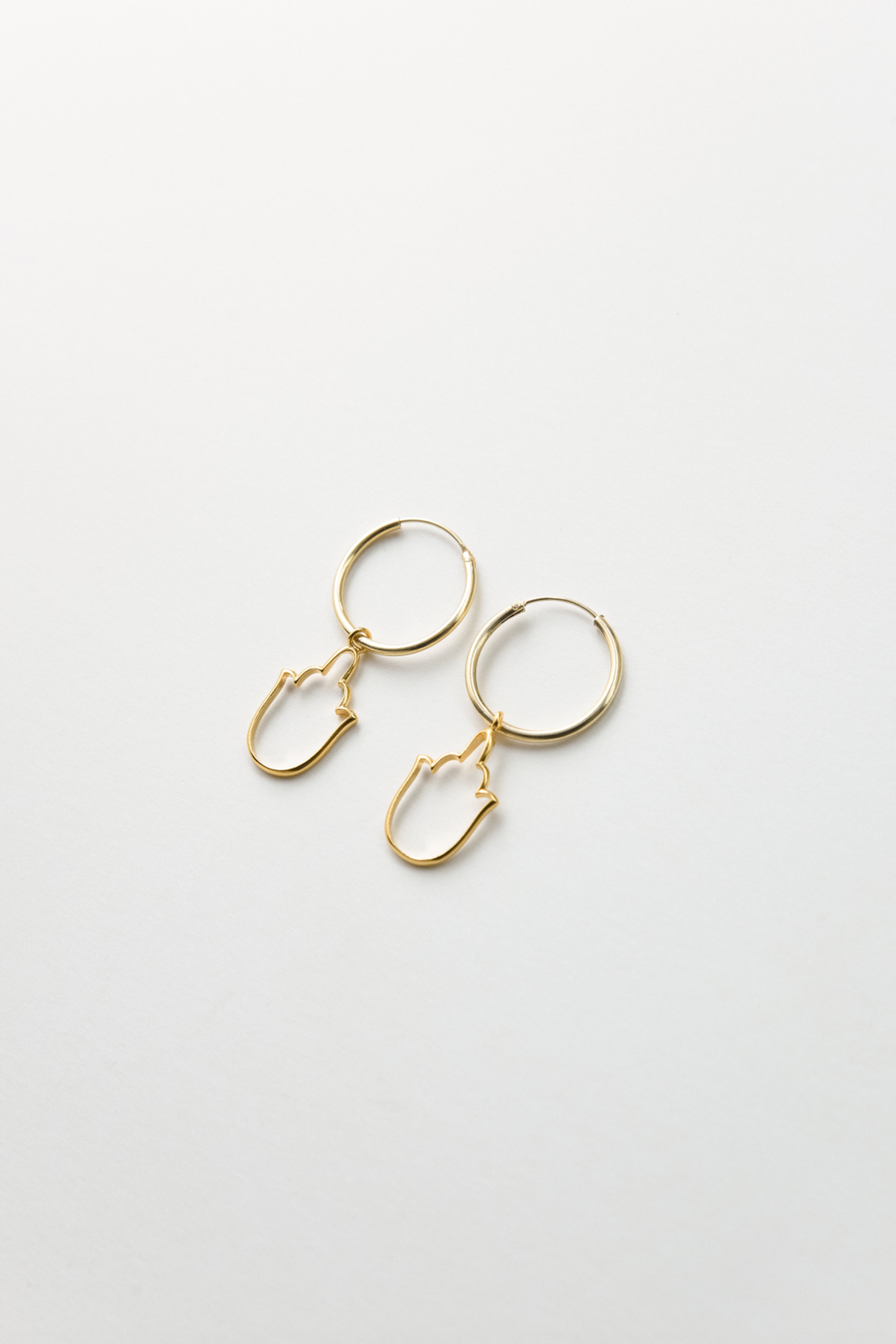 RT X AIDA Earrings