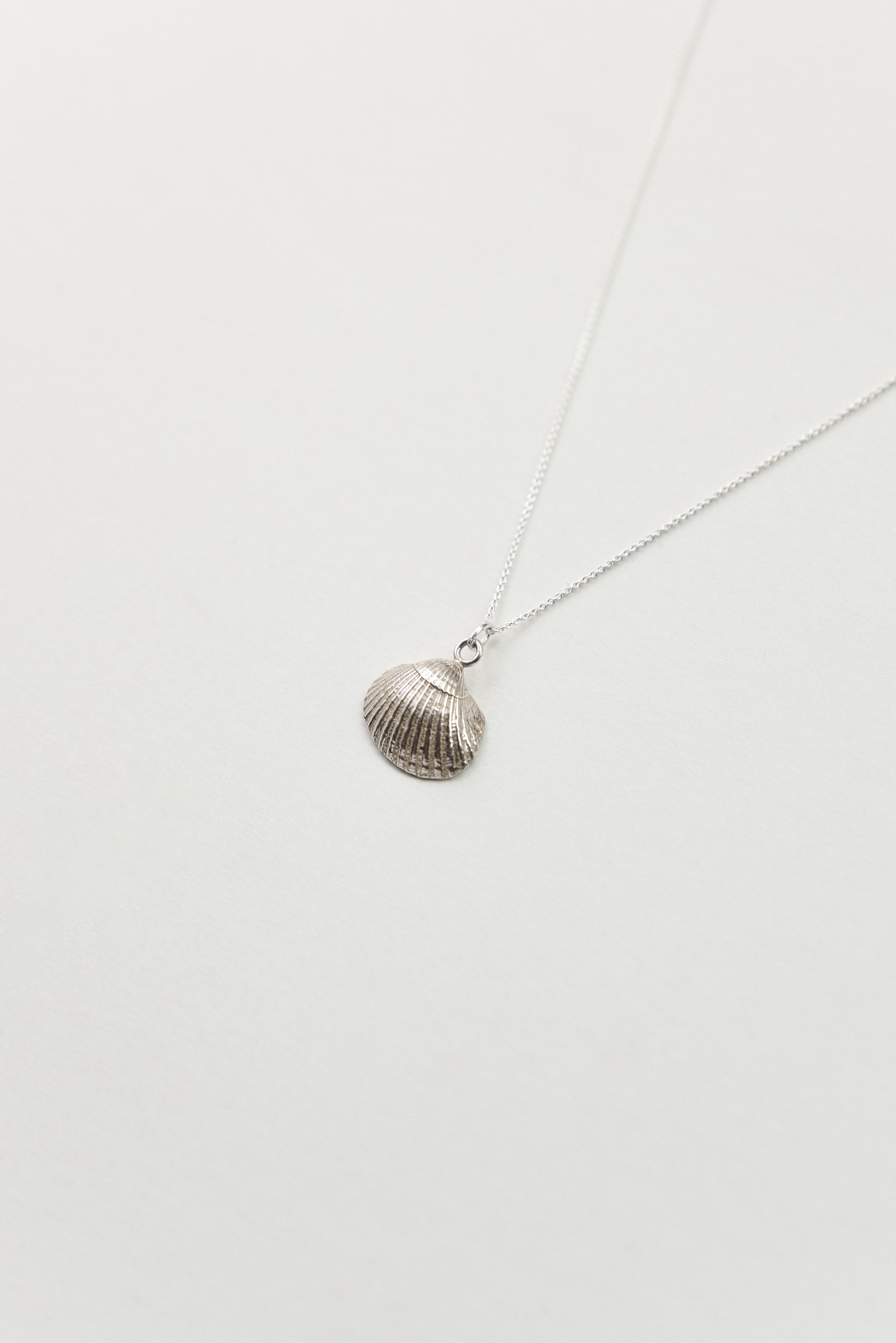 Seashell Necklace