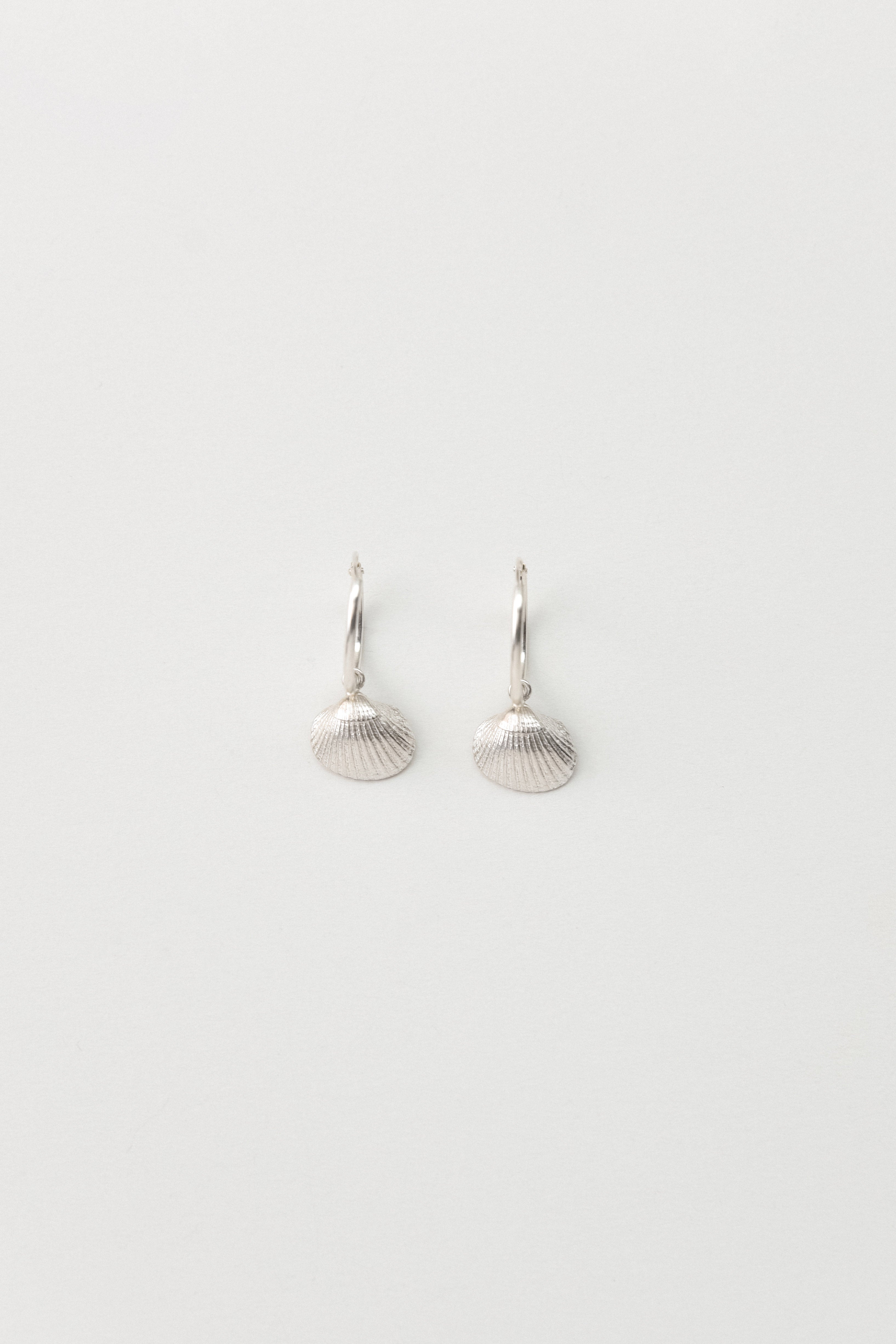 Seashell Hoop Earrings