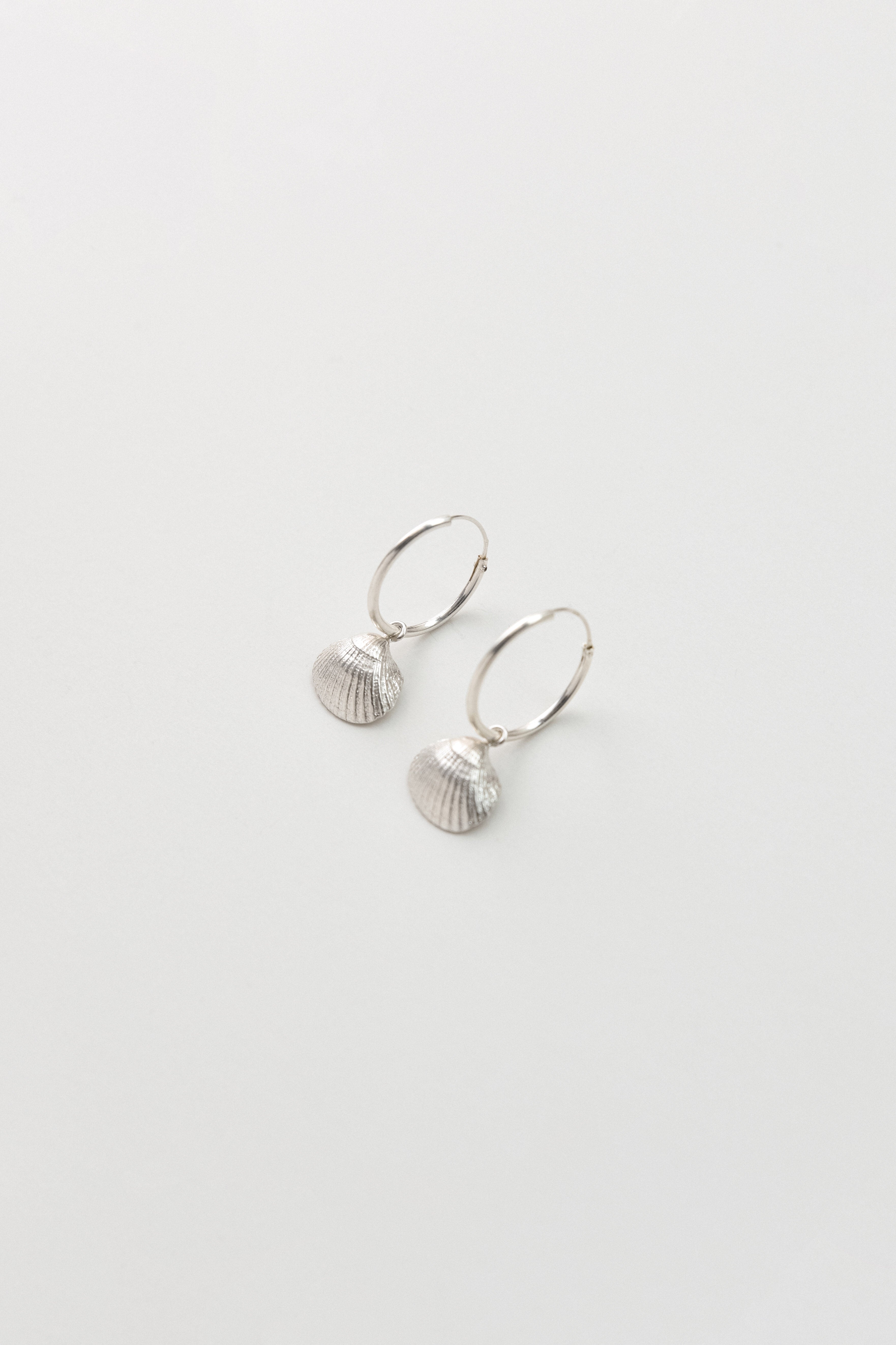 Seashell Hoop Earrings