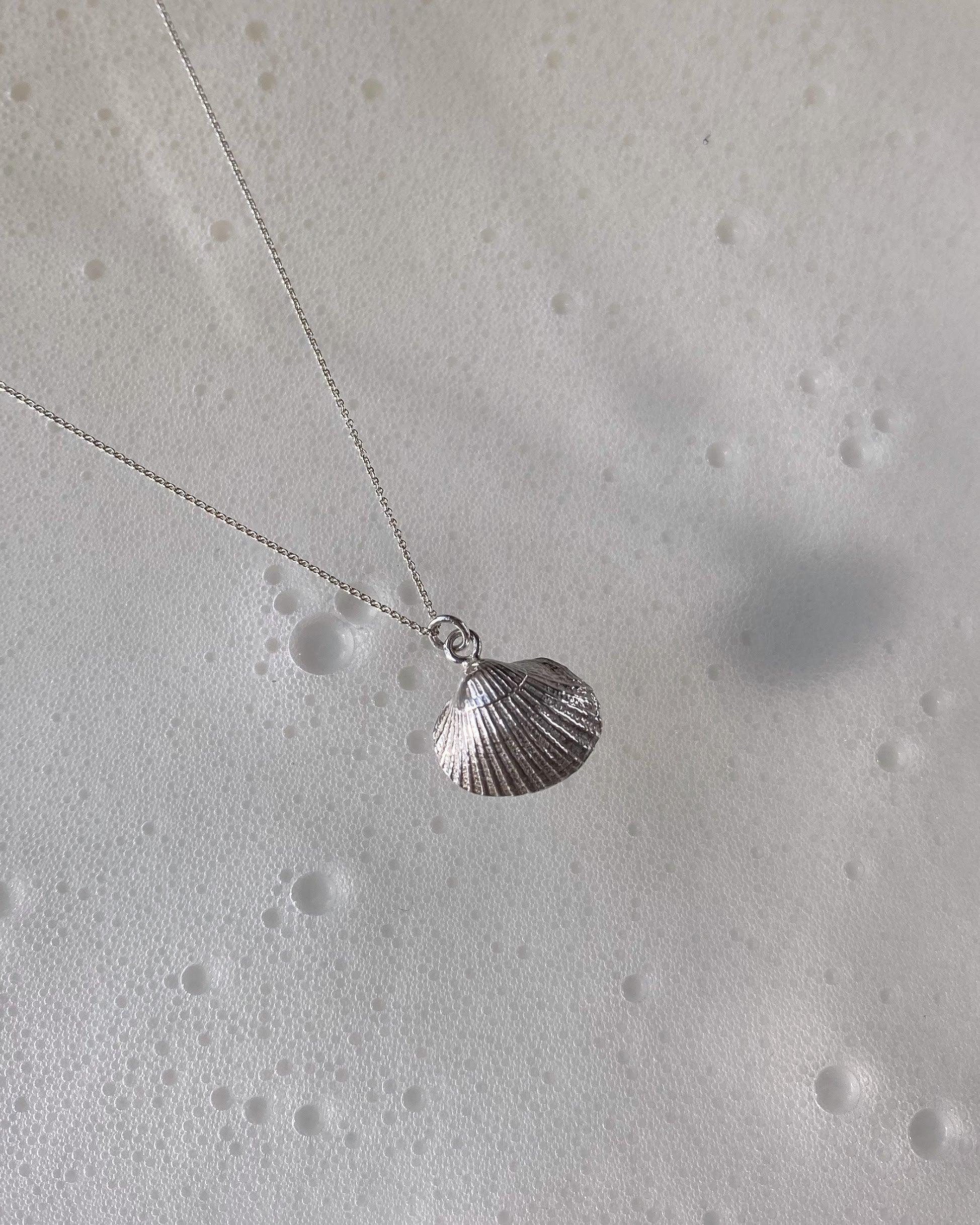 Seashell Necklace Silver