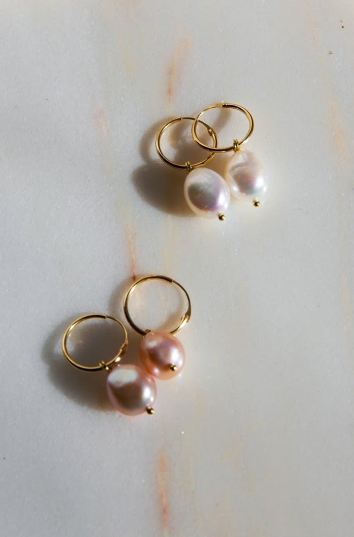 Earring Hoops (gold and silver)